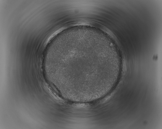 X0000113010826200910081220