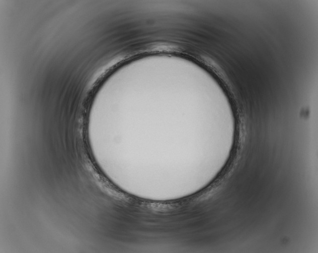 X0000113010827200910081220