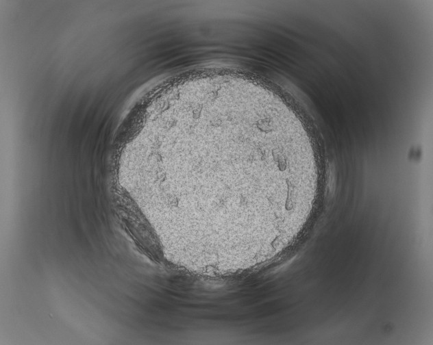 X0000113010829200910081220