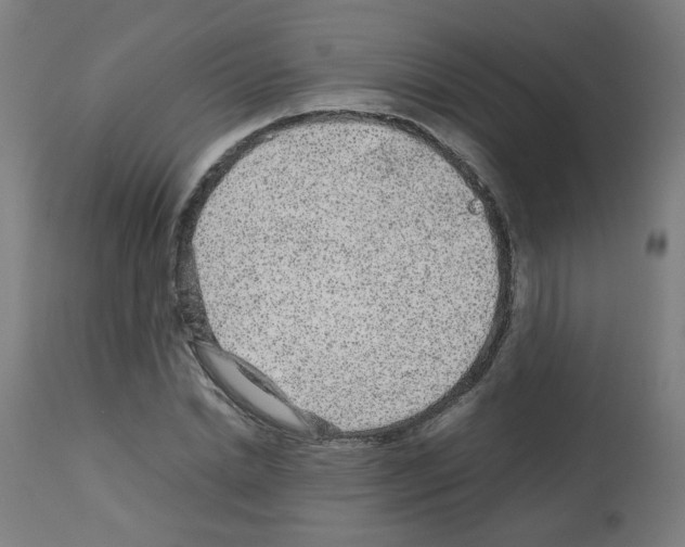 X0000113010830200910081220