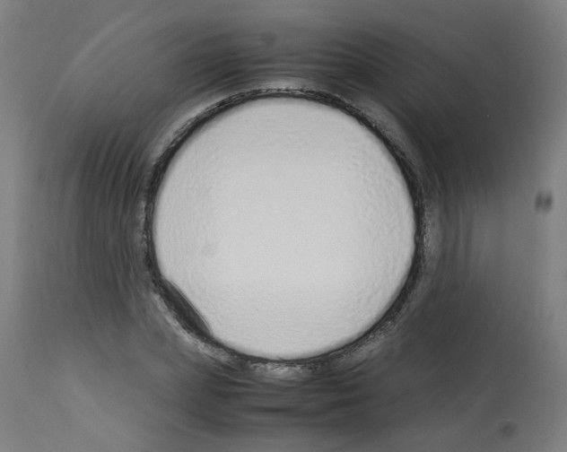 X0000113010831200910081220