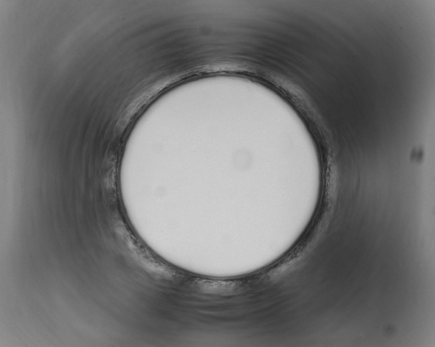 X0000113010833200910081220