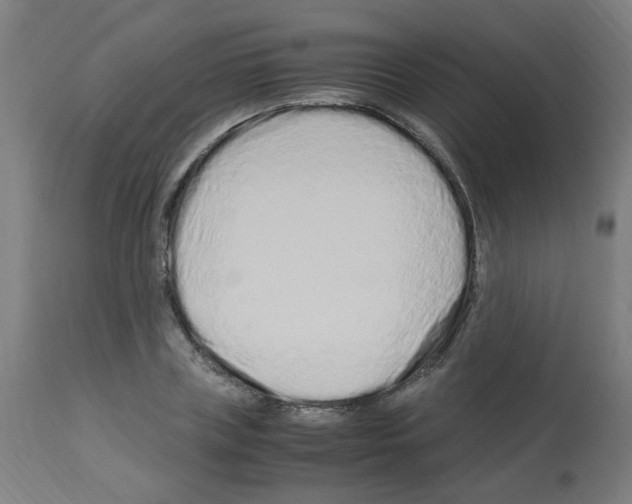 X0000113010835200910081220