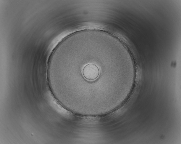 X0000113010836200910081220