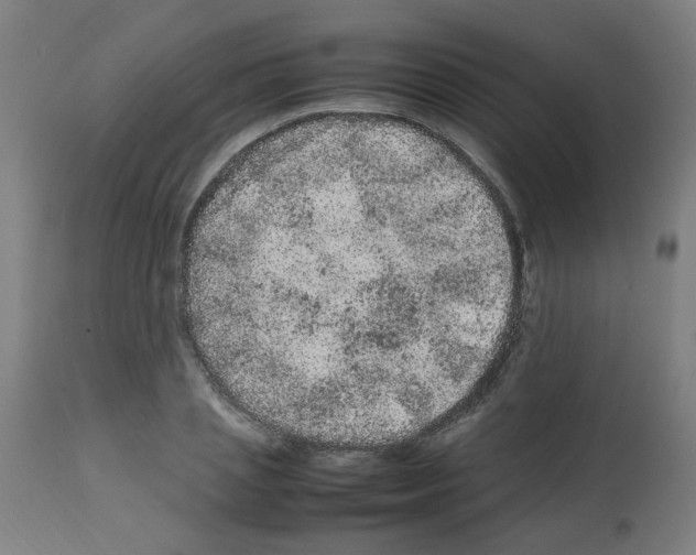 X0000113010837200910081220