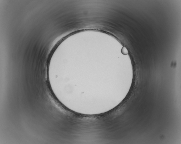 X0000113010838200910081220