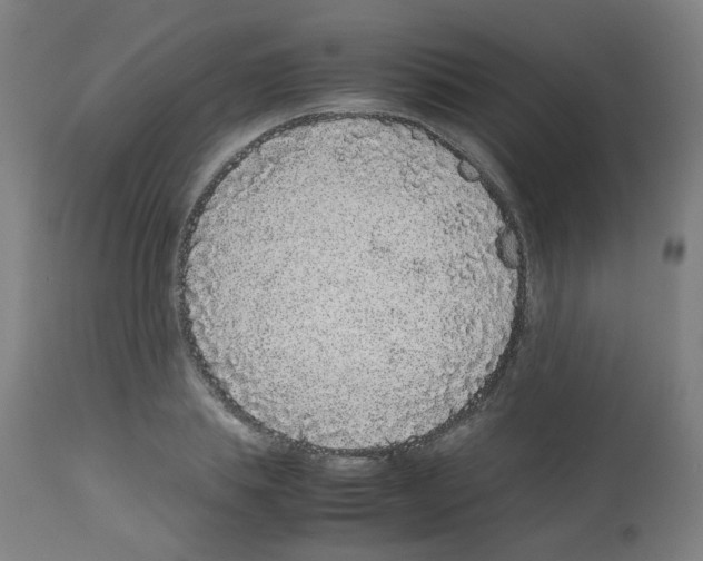 X0000113010839200910081221