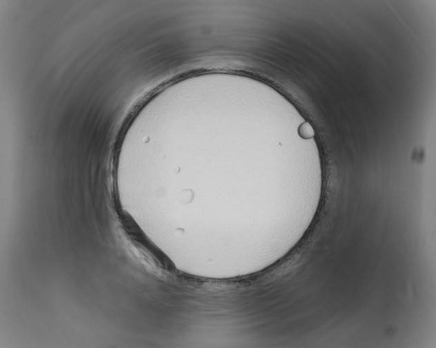 X0000113010840200910081221