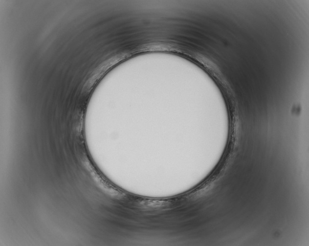 X0000113010841200910081221