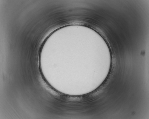 X0000113010843200910081221