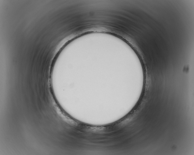 X0000113010845200910081221