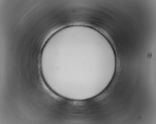X0000113010847200910081221