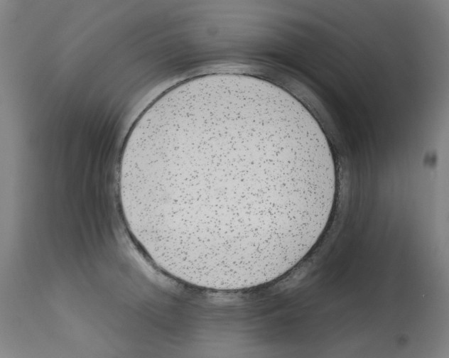 X0000113010852200910081221