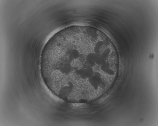 X0000113010853200910081221