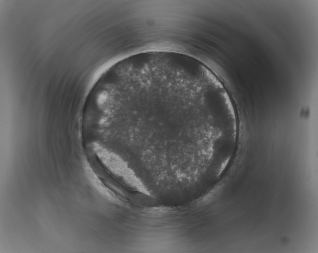 X0000113010854200910081221