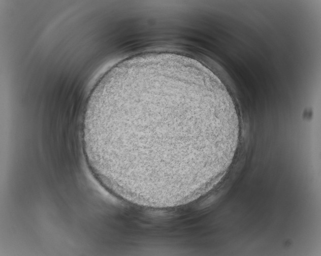 X0000113010855200910081221