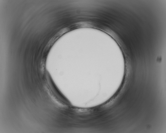 X0000113010857200910081221