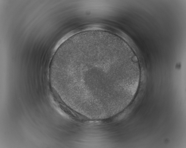 X0000113010858200910081221