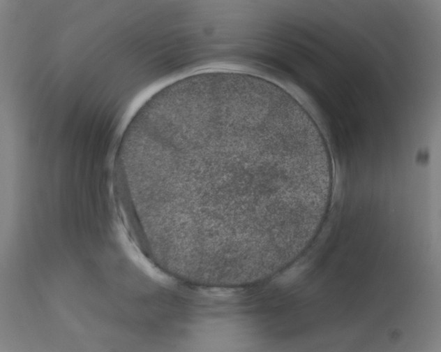 X0000113010862200910081221
