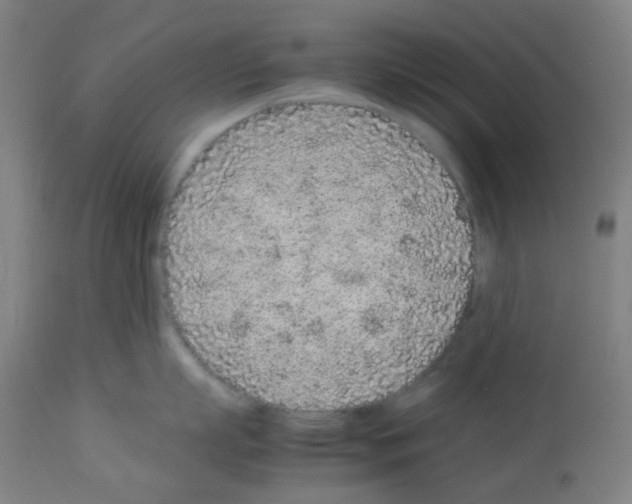 X0000113010863200910081221