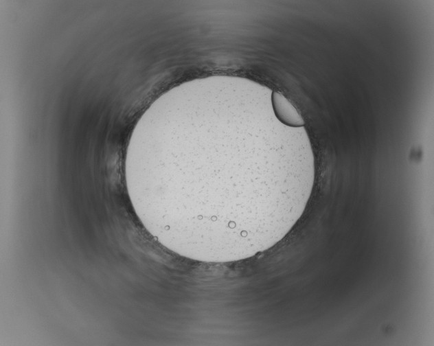 X0000113010866200910081220