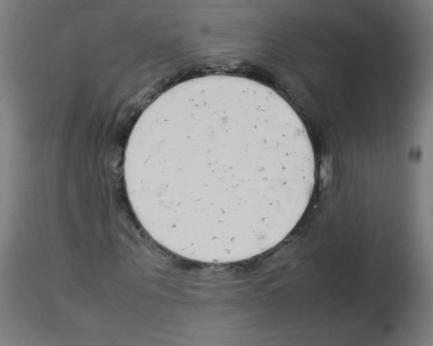 X0000113010867200910081220