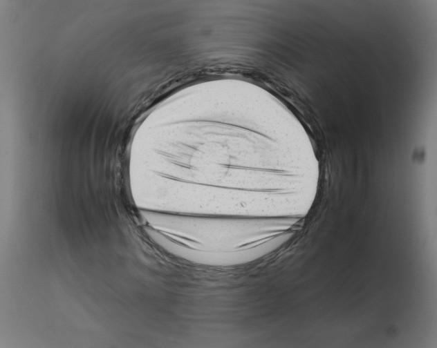 X0000113010868200910081220