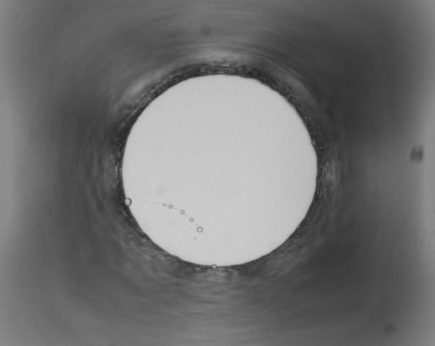 X0000113010869200910081220