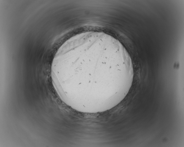 X0000113010870200910081220