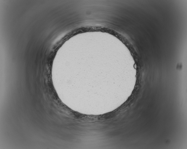 X0000113010871200910081220