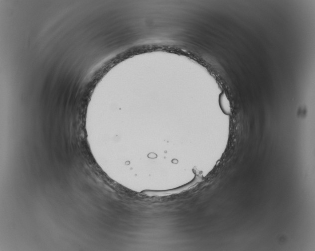 X0000113010872200910081220