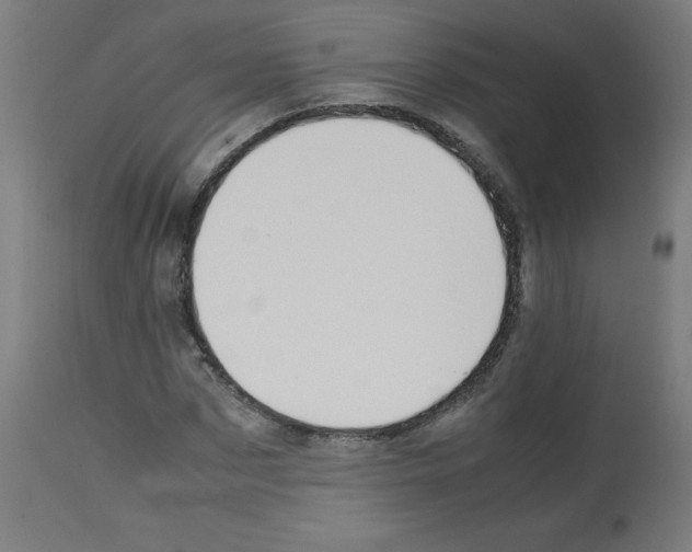 X0000113010873200910081220