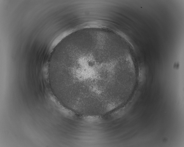 X0000113010874200910081220