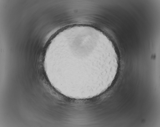 X0000113010875200910081220