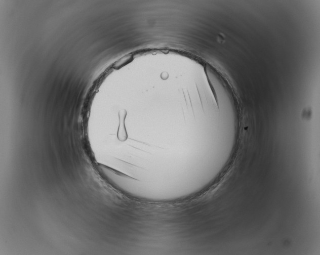 X0000113010876200910081220