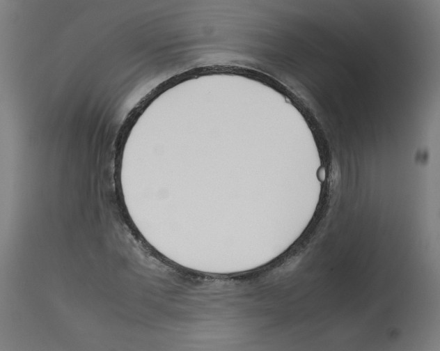 X0000113010877200910081220