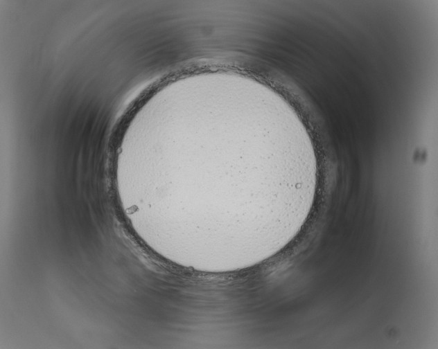 X0000113010878200910081220
