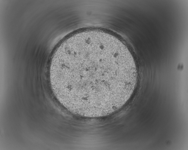 X0000113010879200910081220