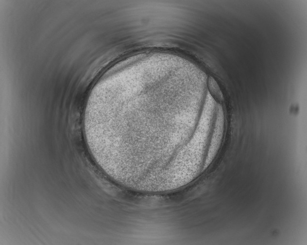 X0000113010881200910081220