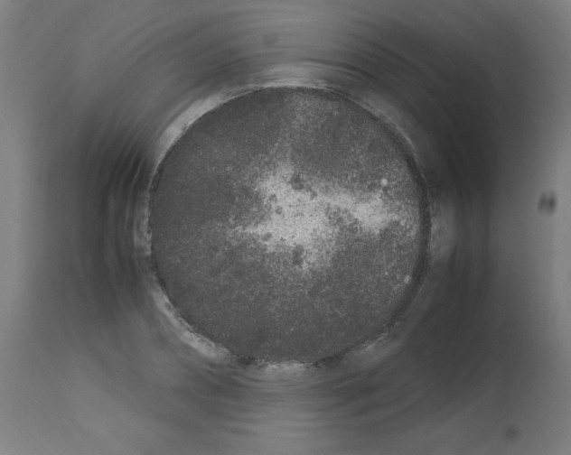 X0000113010882200910081220