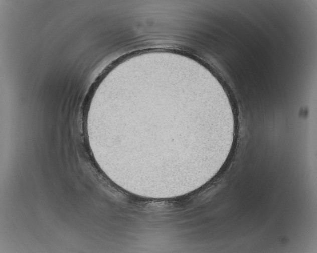X0000113010883200910081220