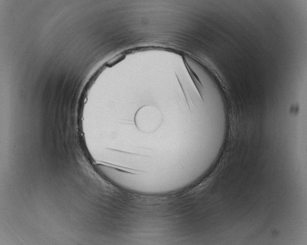 X0000113010884200910081220