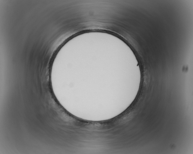 X0000113010885200910081220
