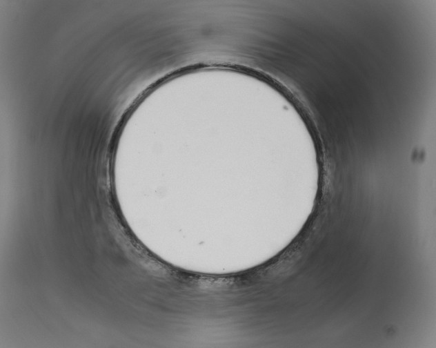 X0000113010887200910081220