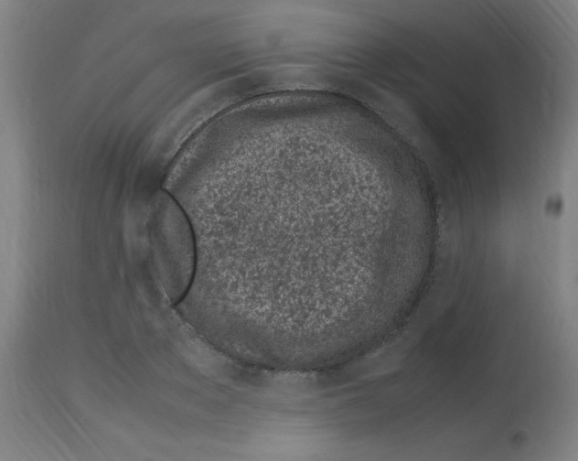 X0000113010889200910081220