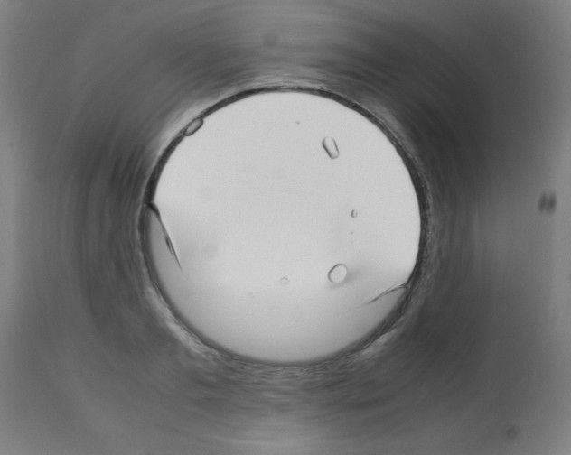 X0000113010893200910081220