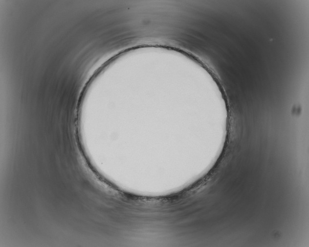 X0000113010895200910081220