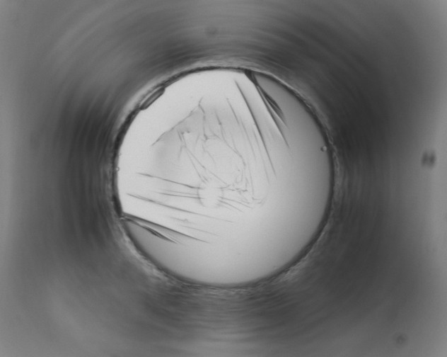 X0000113010896200910081220