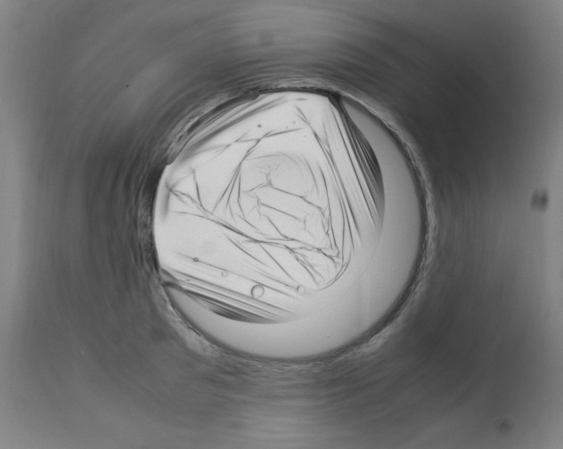 X0000113010897200910081220