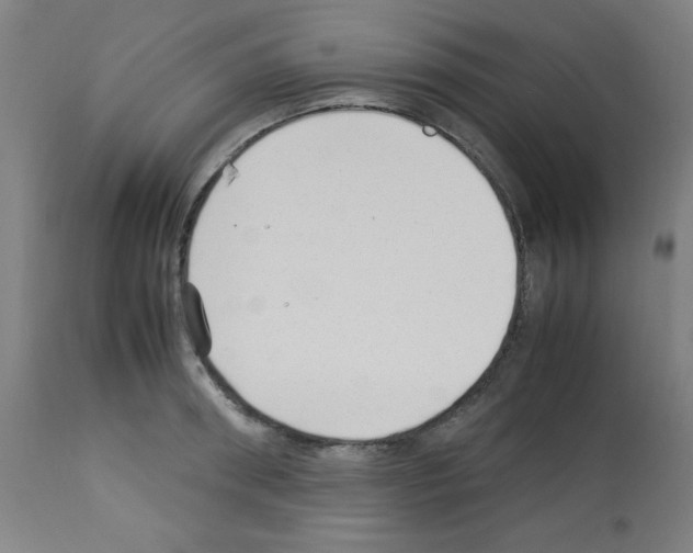 X0000113010898200910081220